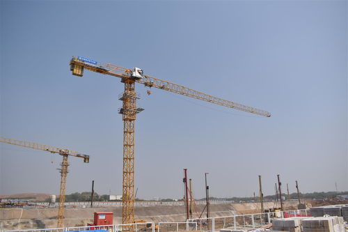 武漢最大還建房項(xiàng)目 豹澥項(xiàng)目首座塔吊安裝完成